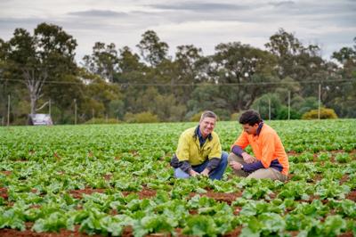Climate change action sign in Mildura, Victoria. People, text "Together We Can Movement".