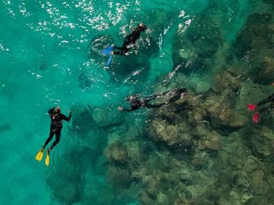 Ningaloo Reef underwater scene, coral, fish, and sunlight filtering through the water.