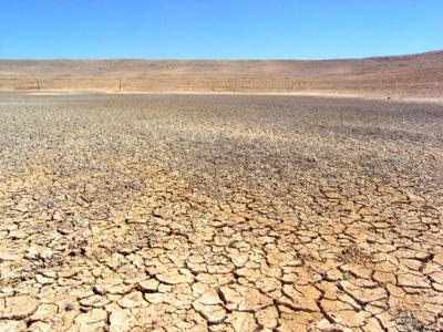 Header image: Dry cracked earth, sparse vegetation, blue sky, drought conditions.