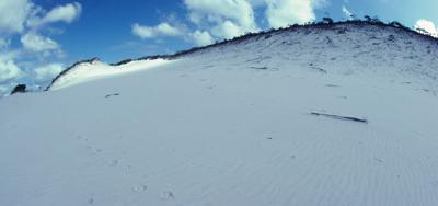 Shelburne Bay landscape, aerial view. Turquoise water, sandy beach, green vegetation.