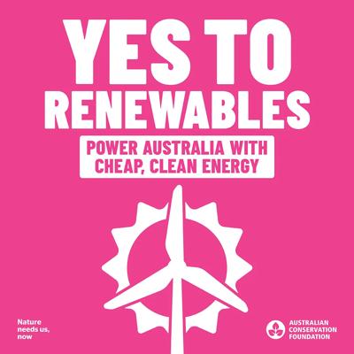 ACF election social tile. Blue background, text, Australian flag, voting graphic.