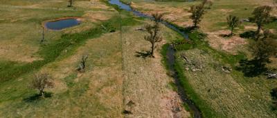 Platy Project event at Wilmot Farm: people, platypus habitat, water, trees.