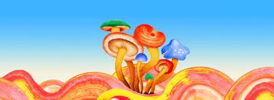 Green trees, blue sky, and white clouds.