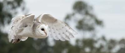 Woman in a field, holding a sign, smiling.