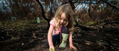 Replanting seedlings in a forest, showing hands, trees, and a shovel.