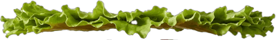 Deconstructed burger with Koala as fill