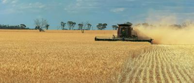 A vibrant coral reef scene with diverse fish and marine life.