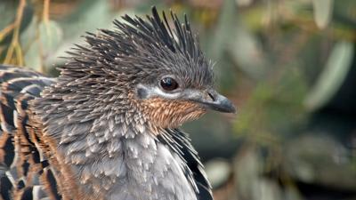 Woman in a white coat, holding a plant, smiling, in a lab setting.