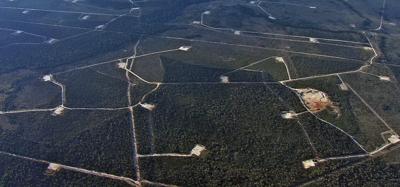 Gas field infrastructure with pipelines and storage tanks under a blue sky.