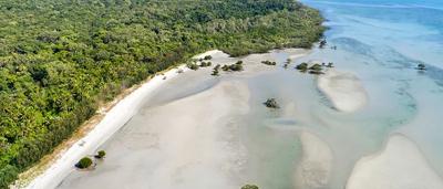 Aerial view of Cowie Beach, Cape Tribulation, Wet Tropics. Lush green rainforest meets sandy beach and turquoise water.