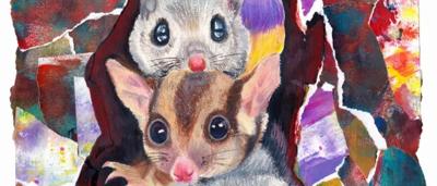 Endangered animals hideout illustration, Clare D. artwork.