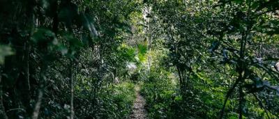 A person in a blue shirt, standing near a large, white, cylindrical structure.