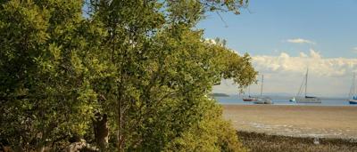 Woman smiling, holding a sign, Toondah Harbour, background of water and buildings.