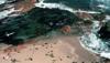 Eyre Peninsula, Australia: Header image of sea lions on a beach, blue ocean, and sky.