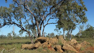 Open-cut coal mine, Winchester, Bowen Basin, Queensland. Large machinery, haul trucks, and exposed earth.