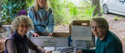 Green canopy of trees, letterbox format.