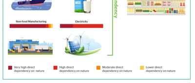 Diagram showing hidden indirect nature dependencies, with interconnected circles and text labels.