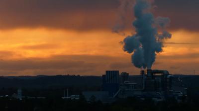 Header image: Australian rainforest canopy, lush green foliage, sunlight filtering through.