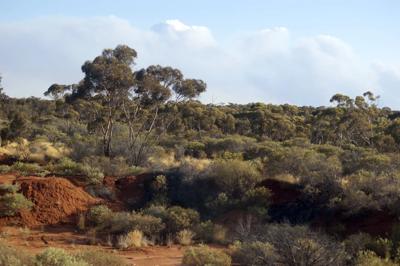 Header image: Kalgoorlie cityscape, blue sky, gold mining infrastructure, and a few clouds.