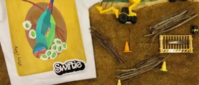 Swiftie in the Wild May F Age 8 Most Unique - Highly commended