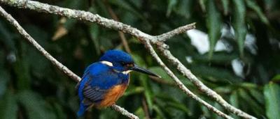 Woman in a red jacket, smiling, holding a microphone, speaking outdoors.