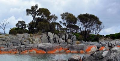 Tasmanian Bay of Fires coastline with red rocks, white sand, and blue ocean.