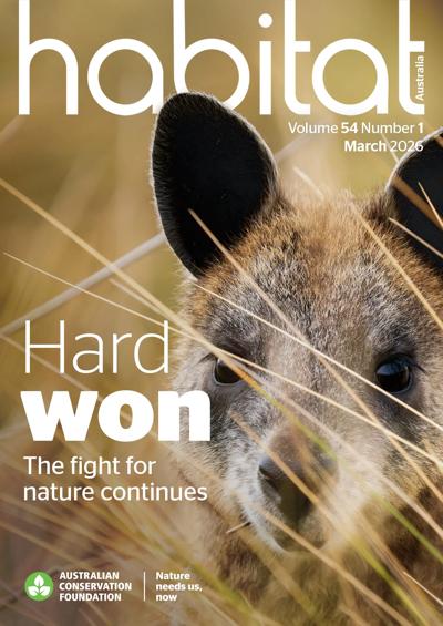 200326 - habitat Cover - March 2026 - Hard won