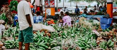 Vanuatu market scene, colorful produce, woven baskets, people, outdoor setting.