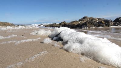 Woman in a white coat, holding a tablet, looking at a screen.
