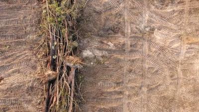 Header image: Springfield, green field, blue sky, white clouds.