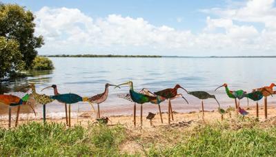 Header image: Toondah Harbour, Queensland. Boats, water, sky, and distant land.