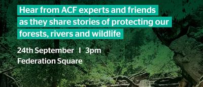 A collage of colorful tiles with ACF 60th anniversary branding.