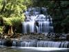 Liffrey Falls