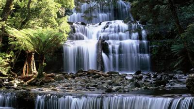 Liffrey Falls