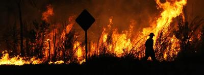 Burning fire in a forest, flames and smoke rising.