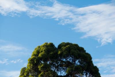 shutterstock_1982727950