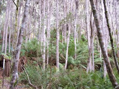 How to get involved with ACF’s… | Australian Conservation Foundation
