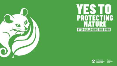 People in a room, election theme, ACF logo, background with election teams.