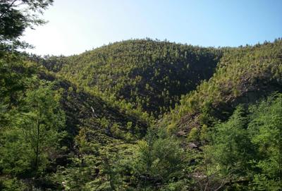 Skyline with tiered restoration, blue sky, and clouds.