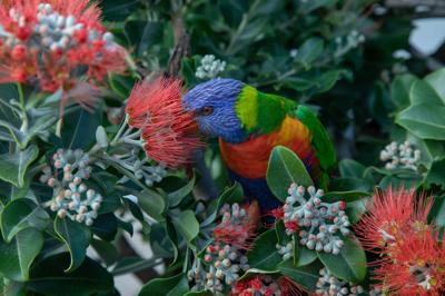 Woman in a white coat, holding a tablet, looking at a screen, in a lab setting.