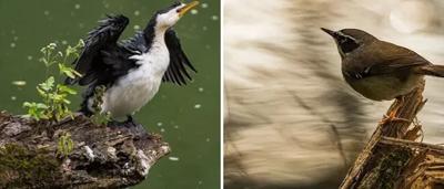 Woman in a field, holding a plant, smiling.
