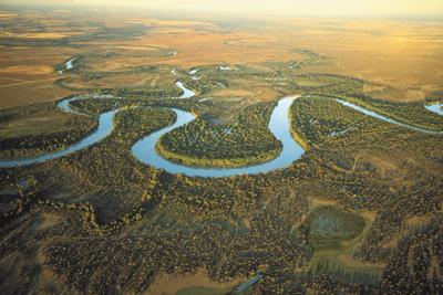 Murray River meanders, aerial view.