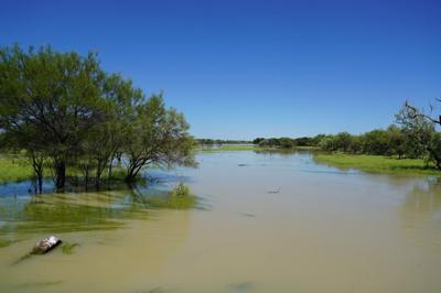 Woman in a white coat, holding a plant, in a lab setting.
