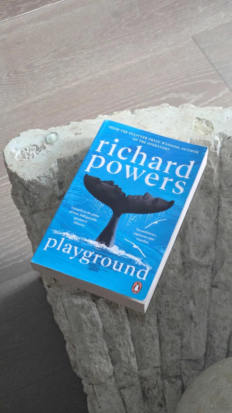 Playground by Richard Powers book cover