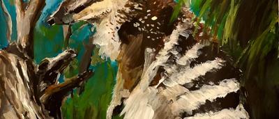 Endangered Numbat, Eden, Australia. Winner image.