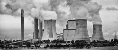 Green canopy of trees, sunlight filtering through leaves.