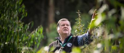 Man in forest, holding tools, Toolangi tour.