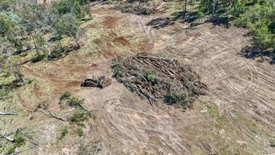 New England NSW Land Clearing Drone Aerial DJI_20260311124224_0038_D