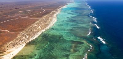 Woman in a field, holding a flower, sunny day.