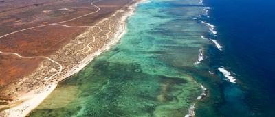 Woman in a field, holding a flower, sunny day.